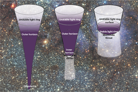 Singular black hole and non-singular alternatives
