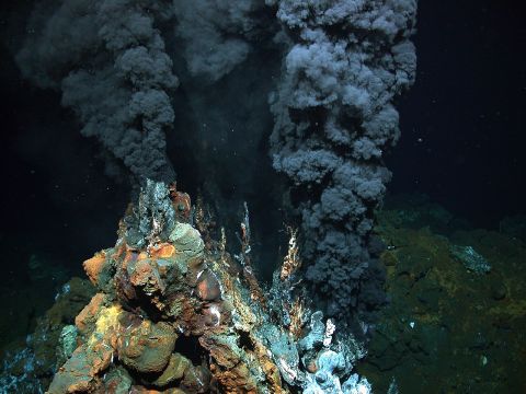 Deep-sea hydrothermal vent  Credits: MARUM − Zentrum für Marine Umweltwissenschaften, Universität Bremen  Caption: Black smoker in 2,980 meters of wa­ter on the Mid-At­lantic Ridge. Some hypotheses suggest that deep-sea hydrothermal vents may have provided favorable conditions for the emergence of early life. In these environments, chemical and energy gradients could have supported primitive chemical systems and metabolic-like processes based on compounds released by hydrothermal activity.