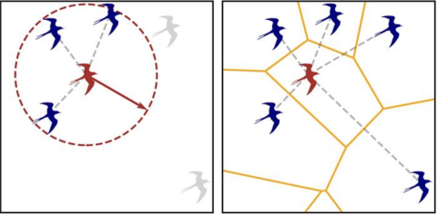 Distance Vs Topological Relations