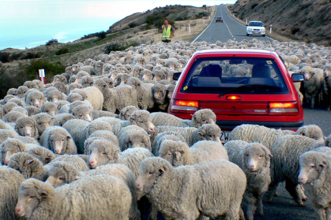 Credit: Public Domain    Source: https://commons.wikimedia.org/wiki/File:Down_a_rural_road.NZ_(14927721178).jpg