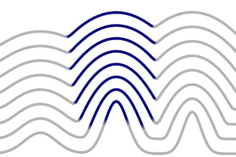 Coarsening of an initially structured front. Each emerging paraboloid is dominated by a single species originating from a local peak in the initial profile.