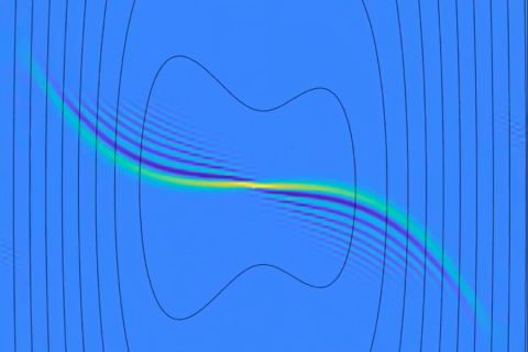 Cosmic lockdown: how the environment can isolate quantum fields