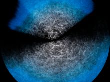 Two ‘fans’ corresponding to the two main areas DESI has observed, CREDIT DESI Collaboration/DOE/KPNO/NOIRLab/NSF/AURA/R. Proctor