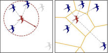 Distance Vs Topological Relations