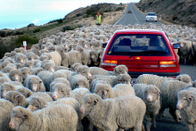 Credit: Public Domain    Source: https://commons.wikimedia.org/wiki/File:Down_a_rural_road.NZ_(14927721178).jpg